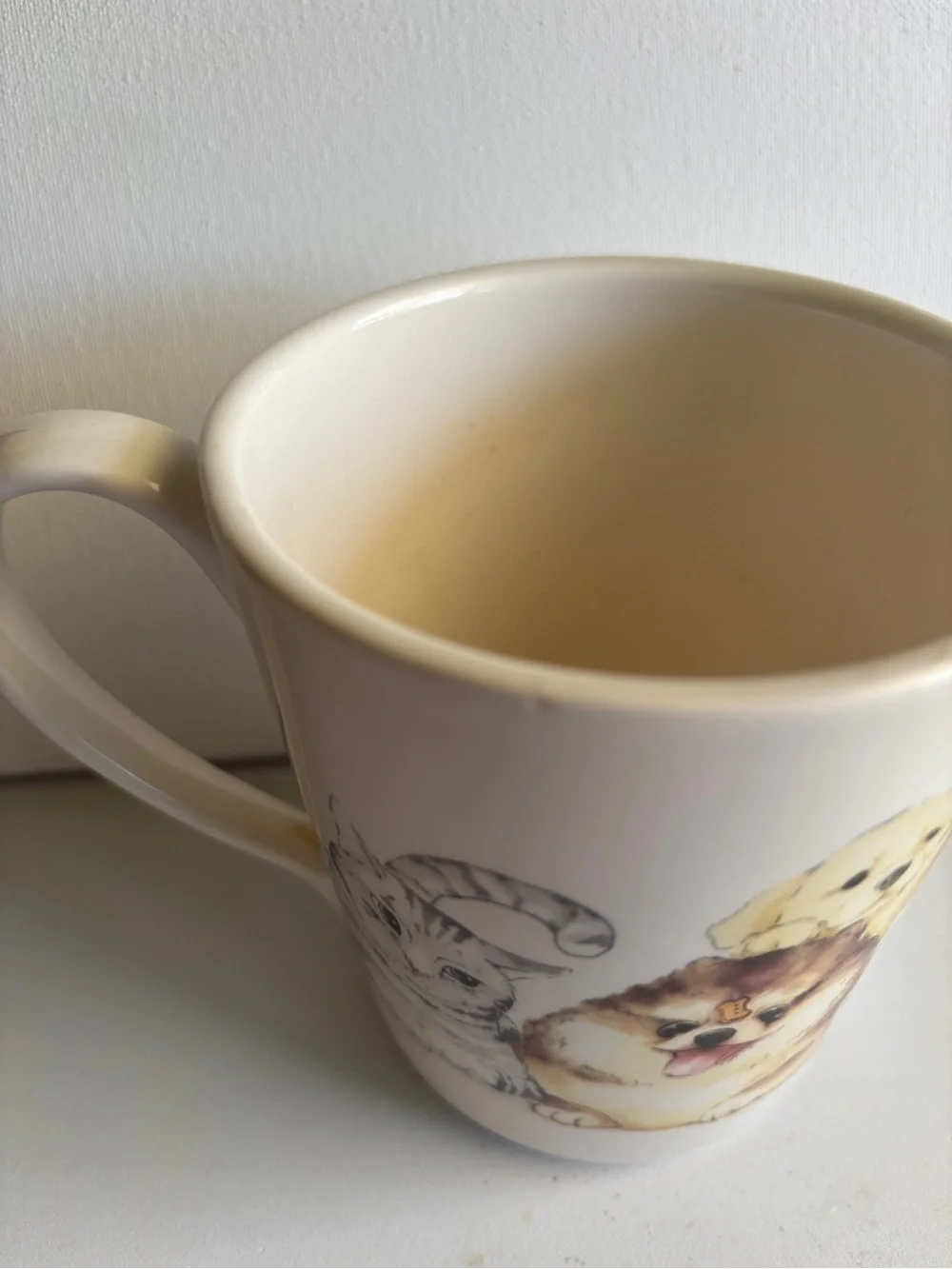 Mug/Pier 1 Cream Ceramic Mug with Puppy, Kitten & Pomeranian Illustrations